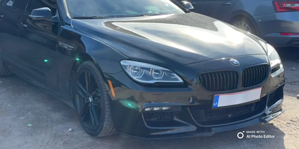BMW 6 serijos Gran Coupé (F06) po